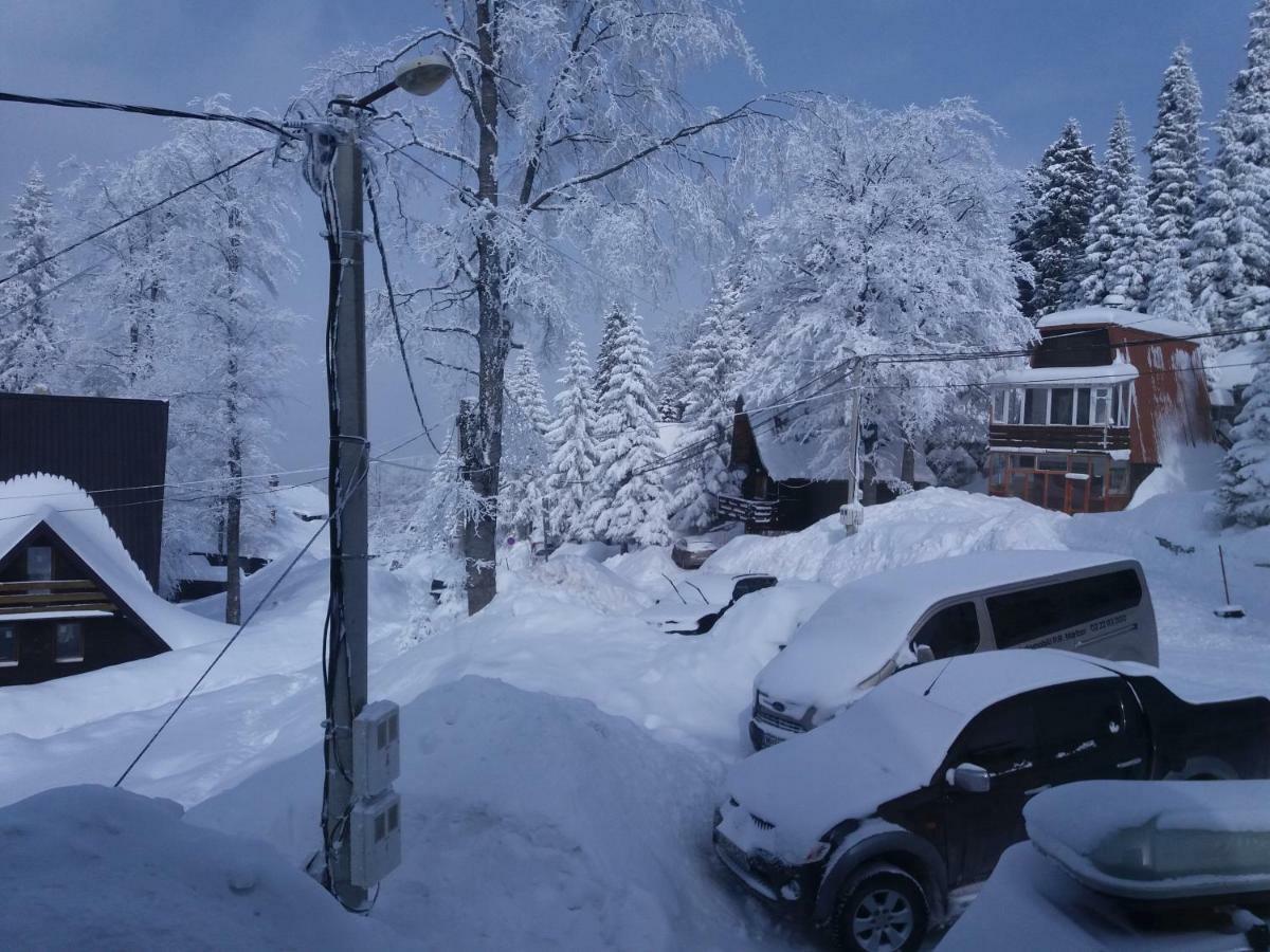 Apartments Artic Núi Núi Jahorina Ngoại thất bức ảnh